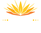 Wines of South Africa logo