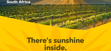 There's Sunshine Inside - Wines of South Africa Trade Tasting