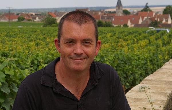 Cinsault