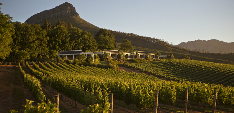 Think world-class Cabernet Sauvignon, think Stellenbosch