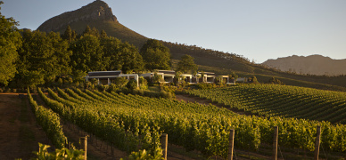 Think world-class Cabernet Sauvignon, think Stellenbosch