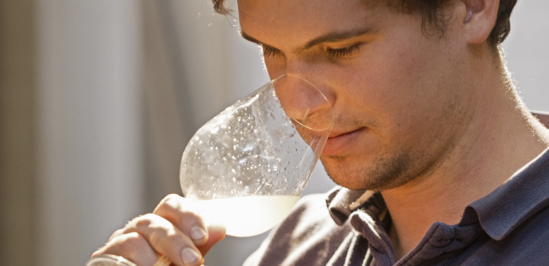 SA Wine Trailblazer: Matthew Day