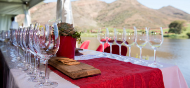 Describing wine in words: how can we do better?