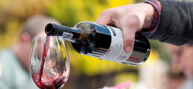 What are the best buying cues if you want to find a wine you like?