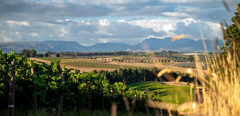 Terroir talk: the Elgin Valley