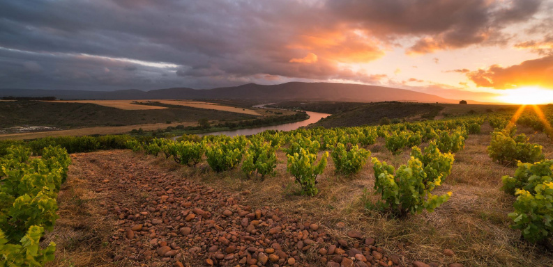 Terroir talk: Agulhas