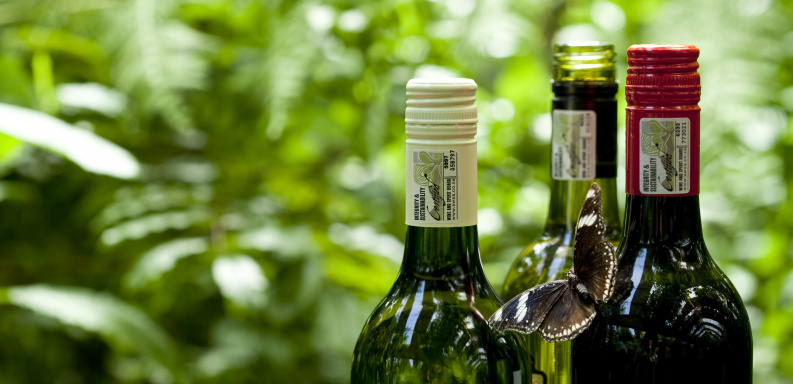How do we choose a wine?