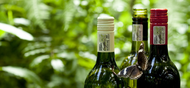 How do we choose a wine?